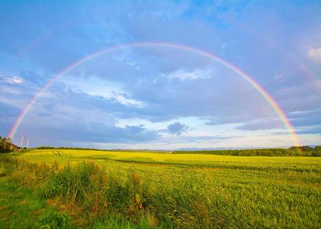 Quelle: unsplash.com / Stainless Images, https://unsplash.com/photos/JzCf5Y3XmFU, Freie kommerzielle Nutzung Kein Bildnachweis nötig Regenbogen über Feld